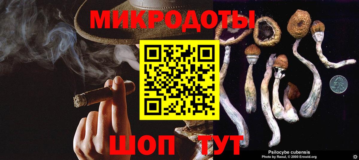 Галлюциногенные грибы Cubensis Печора