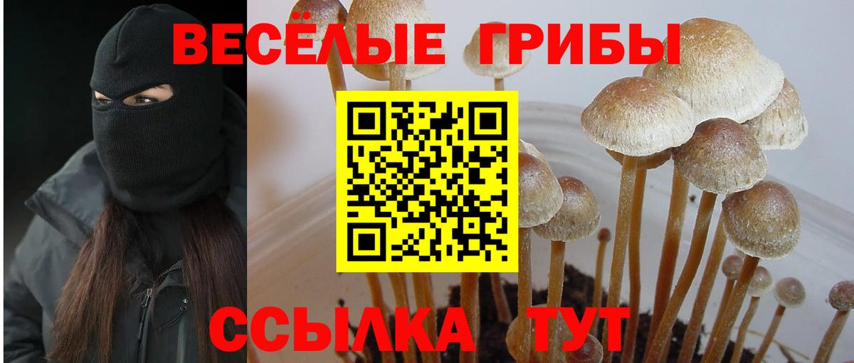 Печора  Галлюциногенные грибы GOLDEN TEACHER  Вход с VPN  Псилоцибиновые грибы GOLDEN TEACHER 